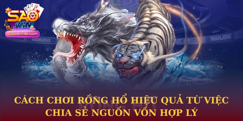 Cách chơi rồng hổ hiệu quả từ việc chia sẻ nguồn vốn hợp lý