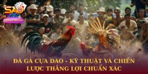 Đá gà cựa dao