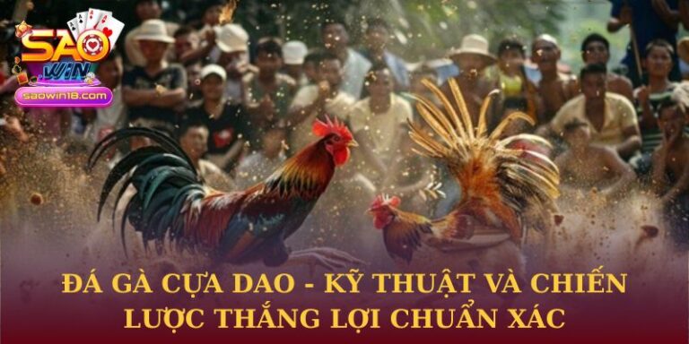 Đá gà cựa dao