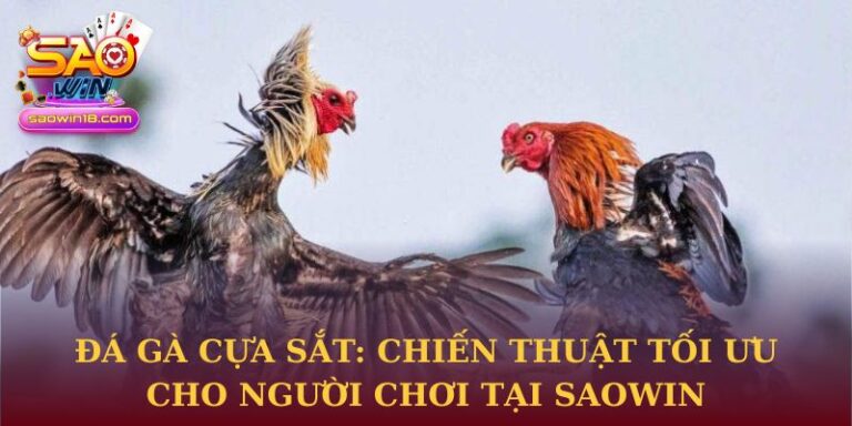Đá gà cựa sắt