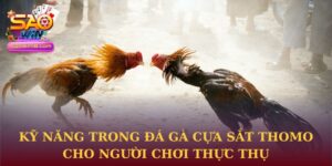 Đá gà cựa sắt thomo