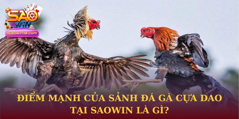Điểm mạnh của sảnh đá gà cựa dao tại Saowin là gì?