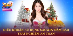 điều khoản sử dụng Saowin