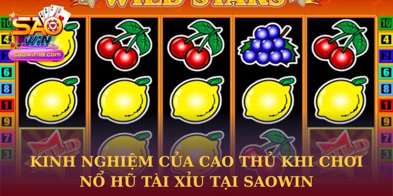 Kinh nghiệm của cao thủ khi chơi Nổ Hũ Tài Xỉu tại Saowin