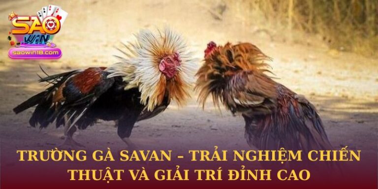 Trường gà Savan